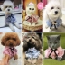 Quần áo chó mùa xuân hè Teddy VIP Bomi hơn gấu chó nhỏ quần áo thú cưng mèo chó sọc áo - Quần áo & phụ kiện thú cưng