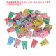 công tắc ngắt mát ô tô Đan được gọi là FUSE FUSE FUSE FUSE FUSE FUSE FUS cầu chì 2a cầu chì sứ