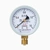 Đồng hồ đo áp suất thông thường Hongqi Y-60 đồng hồ đo nước xuyên tâm đồng hồ đo dầu đồng hồ đo khí thông số kỹ thuật đầy đủ 0-60MPA có thể được trang bị bộ chuyển đổi 