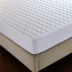 Khăn trải giường kháng khuẩn cotton một mảnh dày Simmons bảo vệ chăn bông chăn bông 笠 có thể ngủ trần nệm cao su - Trang bị Covers