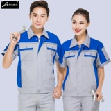 Лето короткошерстная автопрофила