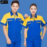 Лето короткошерстная автопрофила