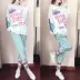 Phụ nữ mang thai mùa xuân và mùa thu 2019 mùa thu phiên bản Hàn Quốc của áo len chữ lỏng Phụ nữ mang thai thể thao giản dị hai mảnh - Áo thai sản các kiểu áo bầu đẹp Áo thai sản