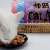 Đẹp trai pet cat đặc biệt ham xúc xích 100 gam vào một con mèo đào tạo mèo đồ ăn nhẹ thịt strips xúc xích muối thấp và nhiều hương vị thức ăn royal canin Đồ ăn nhẹ cho mèo