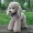 Wei Wei Beibei VIP Dog Doll Chân dài Chó đứng Đồ chơi sang trọng Teddy Dog Ragdoll Girl Gift Child - Đồ chơi mềm