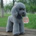 Wei Wei Beibei VIP Dog Doll Chân dài Chó đứng Đồ chơi sang trọng Teddy Dog Ragdoll Girl Gift Child - Đồ chơi mềm gấu bông chó mặt xệ Đồ chơi mềm