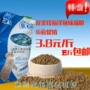 5 kg 2.5 kg gói số lượng lớn mèo hạt tự nhiên vào mèo kitten thực phẩm phổ biến pick mèo công thức đồ ăn cho mèo con