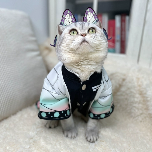 Призрак эсминец домашних животных Pet Wrom