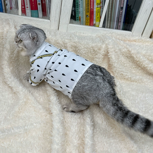 Домашняя одежда Бруно Бугала Jojo замечательное приключение Cat T -Fry щенка