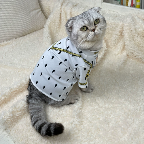 Домашняя одежда Бруно Бугала Jojo замечательное приключение Cat T -Fry щенка