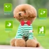 Pinat Teddy thức ăn cho chó trưởng thành chó nhỏ 2,5kg phổ biến để xé lông làm tóc Thực phẩm tự nhiên VIP - Chó Staples