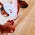 Công nghệ đen khỉ kẹp băng ma thuật miễn phí lưu trữ băng ma thuật nhân tạo hai lớp màng dính - Phim ảnh giá film máy ảnh Phim ảnh