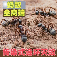 Медицина для муравья домашняя комната разрушает муравьев, кухню с одной гнездо, красная, белая, желтая, не -токсичные открытые цветы универсальные