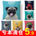 Bago ôm gối mà không có lõi vuông ngủ trưa văn phòng xe pug dễ thương động vật sofa đệm thắt lưng gối Trở lại đệm / Bolsters