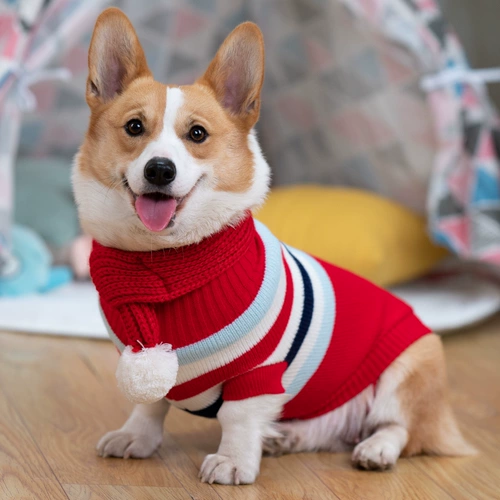 Пуховик, тонкий осенний свитер, демисезонный жилет