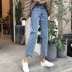 Mùa xuân và mùa thu Phiên bản mới của Hàn Quốc của quần lưng cao hoang dã lỏng lẻo quần không chân 9 quần jeans nữ sinh thẳng quần kiểu áo sơ mi nữ tay lỡ Mùa xuân