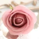 Три -слоистые розы -三 розовый