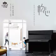 West Court Music Carod Caroline Dọc đàn piano mới S21 Người mới bắt đầu Nhà thương hiệu Đàn piano - dương cầm