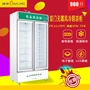 Sui Ling SL-900 cửa đôi tủ lạnh dọc tủ lạnh nhiệt độ đơn tủ lạnh tủ đông trưng bày thương mại tủ lạnh tủ lạnh - Tủ đông tủ lạnh cấp đông