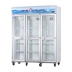 Sui Ling LG4-1000M6F tủ đông dọc tủ đông thương mại sáu cửa tủ trưng bày công suất lớn tủ trưng bày tủ đồ uống - Tủ đông Tủ đông
