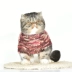 Quần áo mèo không lông Sphinx Anh ngắn Garfield thú cưng mèo Quần áo áo len mùa đông ấm áp điểm - Quần áo & phụ kiện thú cưng Quần áo & phụ kiện thú cưng