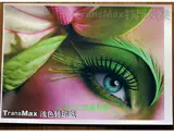 Hot Transfer New Hot Paintrable Расходная короля Resmocax Advertisement T -Find Clothing Printing Diy светлая бумага A3