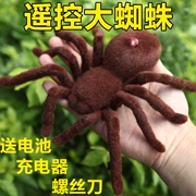Điều khiển từ xa spider đồ chơi spoof lớn spider đập sáng tạo đáng sợ Halloween hồng ngoại động vật mô phỏng điện bò