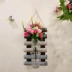 Củ cải xanh văn hóa bình thủy tinh bình thủy canh cây thủy canh văn hóa sáng tạo tường hoa chậu treo tường củ cải xanh miễn phí đấm - Vase / Bồn hoa & Kệ