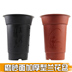 Hoa phong lan chậu nhựa hoa lan nhựa cao cấp Hoa lan hồ điệp Dendrobium đất dinh dưỡng - Vase / Bồn hoa & Kệ bình hoa giả đẹp Vase / Bồn hoa & Kệ