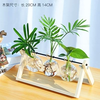 3 бутылки бревен+luo Hansong+luo+карманный кокос