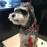 Метод приливного прилива серого крема борьбы