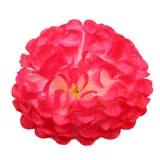 Flower Ball La La Team с цветом, чтобы снимать две студенческие спортивные встречи танцевать