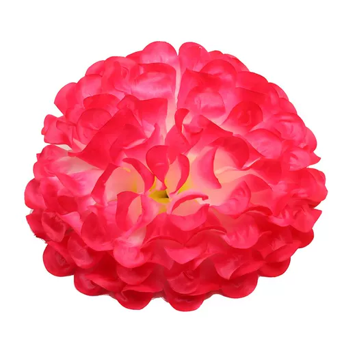 Flower Ball La La Team с цветом, чтобы снимать две студенческие спортивные встречи танцевать