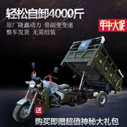 Longxin 175 200 làm mát bằng nước ba bánh xăng xe máy đổ nhiên liệu xe tải nông nghiệp xe ba bánh chở hàng - mortorcycles