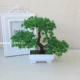 【Yunsong Model Green】