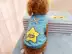 Quần áo chó mùa thu quần áo gấu Teddy chó con chó nhỏ chó vest dễ thương mèo quần áo vật nuôi - Quần áo & phụ kiện thú cưng