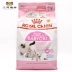 Royal Royal Cat Food Food Cake BC34 Vắt sữa Mèo Mẹ mang thai Mèo Thực phẩm 4Kg - Cat Staples