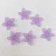 Purple Bauhinia Petal