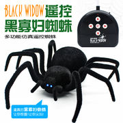 Hồng ngoại điều khiển từ xa spider toàn bộ góa phụ đen spider spoof mô phỏng điện bò sát con cậu bé đồ chơi