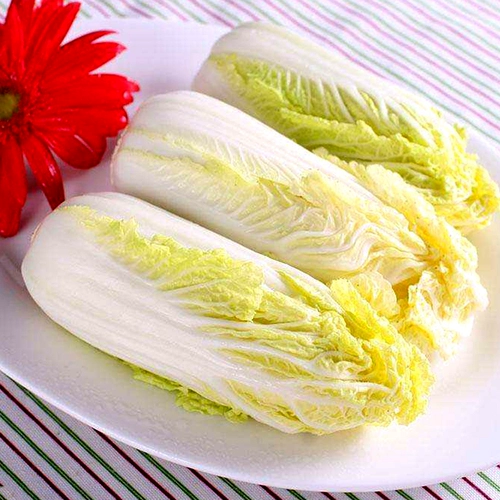 Shouguang растительный семена Goll Овощная капуста желтая капуста капуста балкон четыре сезона растительные семена четыре сезона транслируют бесплатную доставку