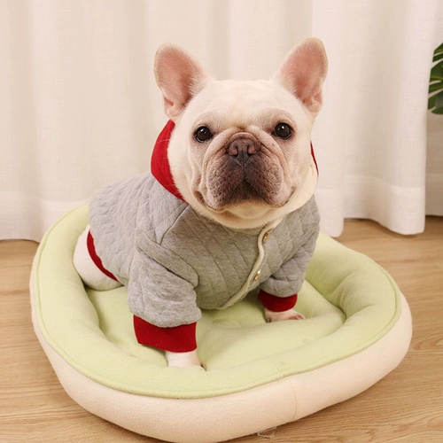 Собачья хлопковое пальто осень и зимний стиль