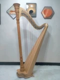 Yuezhiyin Harlery 40 String Professional Excaming Professional Performance Roman Roman Pillar Mixing Musical Musical Instrument