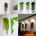 Mô phỏng chuông vàng treo trang trí cây nho trong nhà giả hoa mây phòng khách treo tường nhựa treo hoa lan xanh - Hoa nhân tạo / Cây / Trái cây