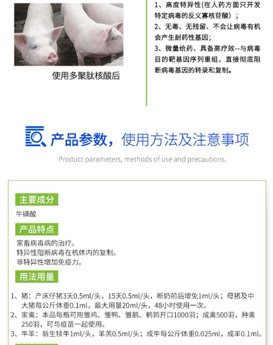 Выделите фармацевтическую полипептидную ядревую анти -вирусную свиную силу.