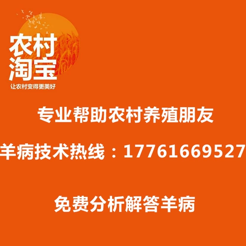 Зверя парализованного ягненка спасает ягненок мягкую парализованную патопатию белой мышцы ягненка.