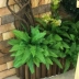 Mô phỏng cây dương xỉ xanh tường trang trí đám cưới hoa và cây giả lá cỏ Ba Tư lá giả lá xanh lớn - Hoa nhân tạo / Cây / Trái cây