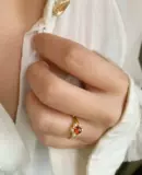 Cai Wenjing, то же самое Uniplanet Winter Garden Retro красное глазирование