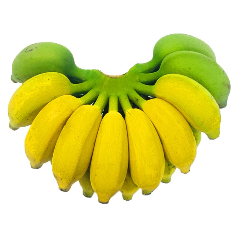 胡大叔果园 广西banana 新鲜小米蕉 8斤