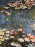 Парк Naicheng, Нью -Йорк, импортирован из Соединенных Штатов Mo Monet Garden Gress Pater Lilies впечатление от хлопкового проволока