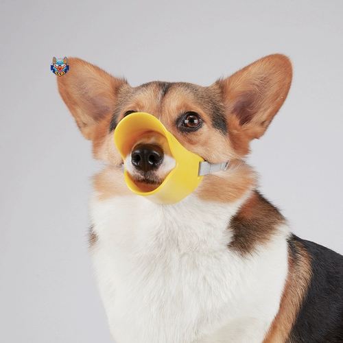 Собачья крышка для рта собачья маска для утки анти -сайте анти -анти -руловый корги сражается средние маленькие маленькие собаки набор собак